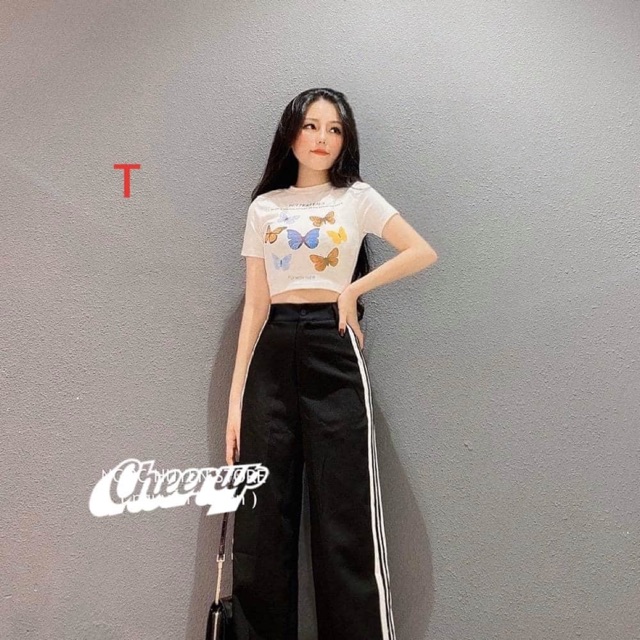 Áo Crt bozip in đàn bướm TTB866