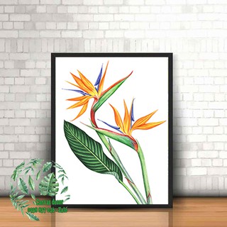 Tranh canvas treo tường Hoa thiên điểu