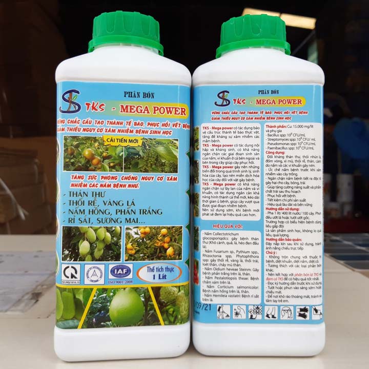 MEGA POWER: Phòng Trừ Bệnh Thán Thư, Rỉ Sắt, Bã Trầu, Phấn Trắng, Sương Mai, Khô Đầu Lá