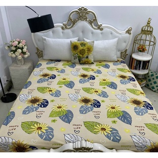 Ga bọc nệm thun hàn quốc bộ 1 ga 3 vỏ gối