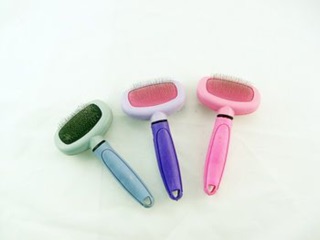 Lược chải lông cho poodle