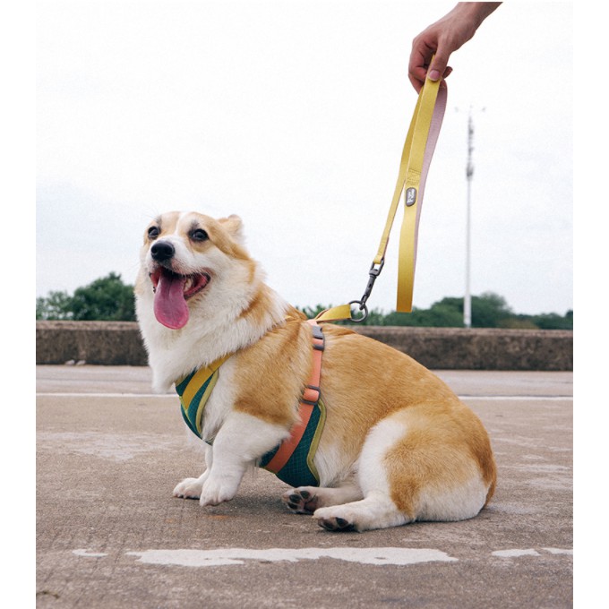 Tuff Hound Set xích Yếm vest và dây dắt cho cún/ Thú cưng