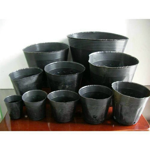 Set 1kg bịch bầu ươm cây các cỡ