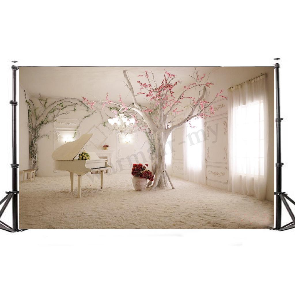 Backdrop cho studio loại phong cảnh trong nhà