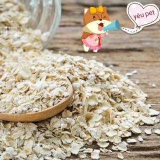 Yến mạch sữa cho hamster