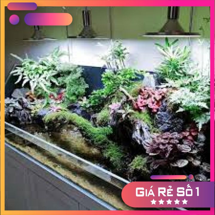 Đèn Led Đĩa Xima 20w Ánh Sáng RGB cho Bể Thủy Sinh Và Bán Cạn