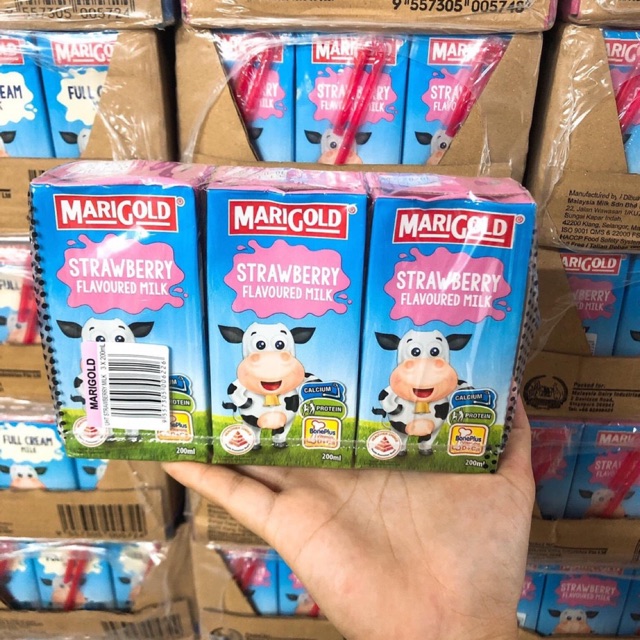 SỮA TƯƠI TIỆT TRÙNG MARIGOLD SINGAPORE THÙNG 24 HỘP 200ML