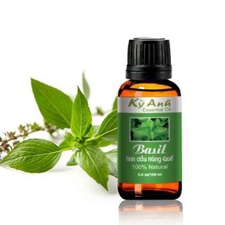 TINH DẦU HÚNG QUẾ BASIL - Tinh dầu cho sức khỏe và làm đẹp nhập khẩu từ Ấn Độ.