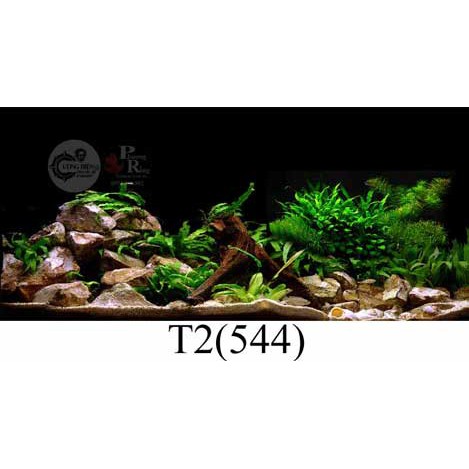 Tranh 3D dán bể cá cảnh hồ thuỷ sinh