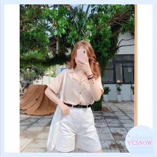 Áo sơ mi nữ Vest basic phong cách Hàn Quốc - Áo sơ mi nữ Basic