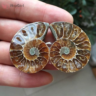 Mặt dây chuyền hình vỏ ốc đính đá tự nhiên