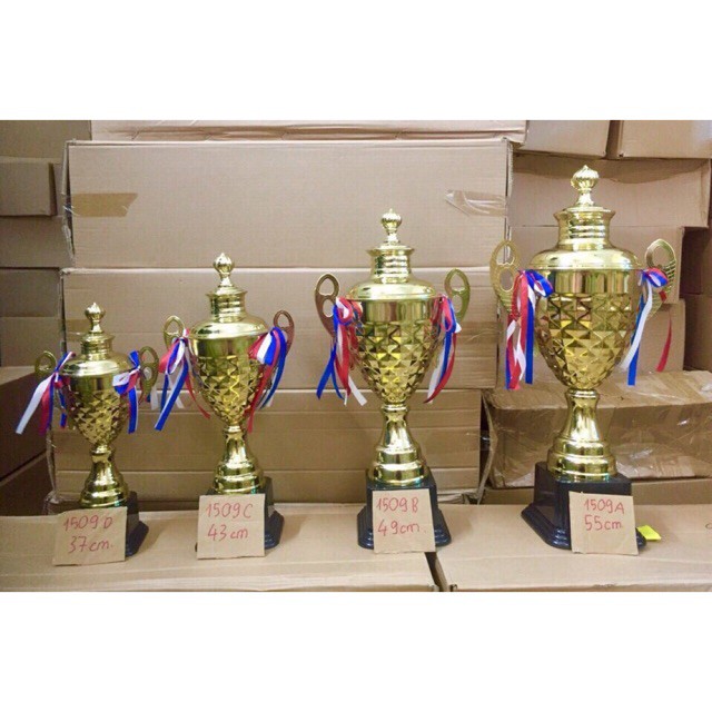 Cup bóng đá mã 1509