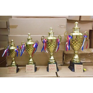 Cup bóng đá mã 1509