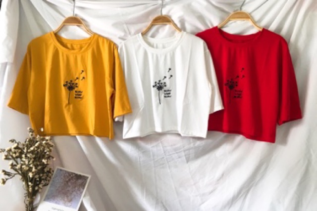 😊 Áo CROPTOP THÊU FROM RỘNG 😘 | BigBuy360 - bigbuy360.vn
