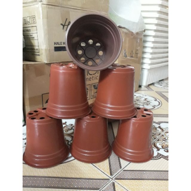 Chậu ươm cây đường kính 15cm