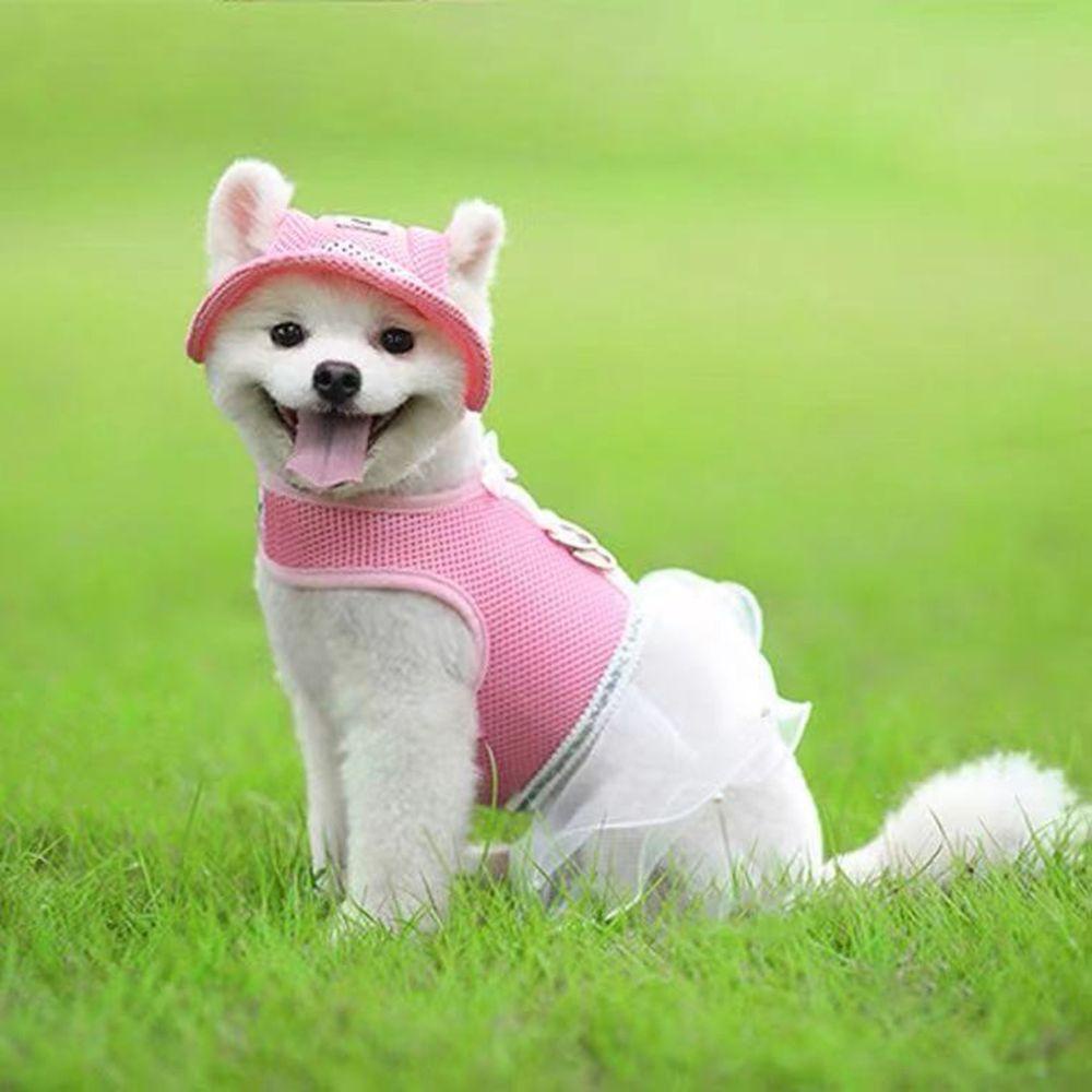 Mũ Chống Nắng Ngoài Trời Có Lỗ Tai Thú Cưng LAYOR1