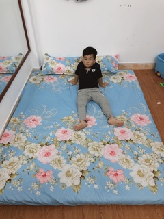 Bộ vỏ ga gối