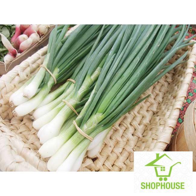 Shophouse Gói 5 gr hạt giống hành ta  SHOP HOUSE  TẾT KHUYẾN MẠI