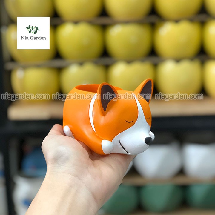 Chậu chó Corgi cam trồng sen đá xương rồng mini để bàn Nia Garden N4