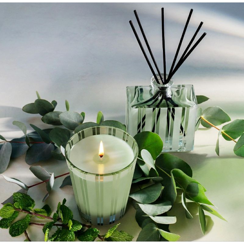 Nến Thơm Nest Wilmint And Eucalyptus Candle