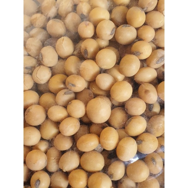 [A Đậu Shop] Đậu nành (đậu tương) khô 500g
