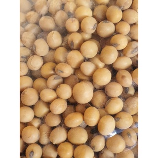 Đậu nành khô 500g
