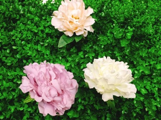 Thảm cỏ nhân tạo
