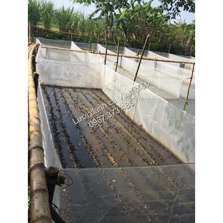 Tráng, Vèo, Mùng lưới nuôi Ốc Ếch Cá nhiều kích thước, phù hợp nuôi con giống từ nhỏ đến lớn