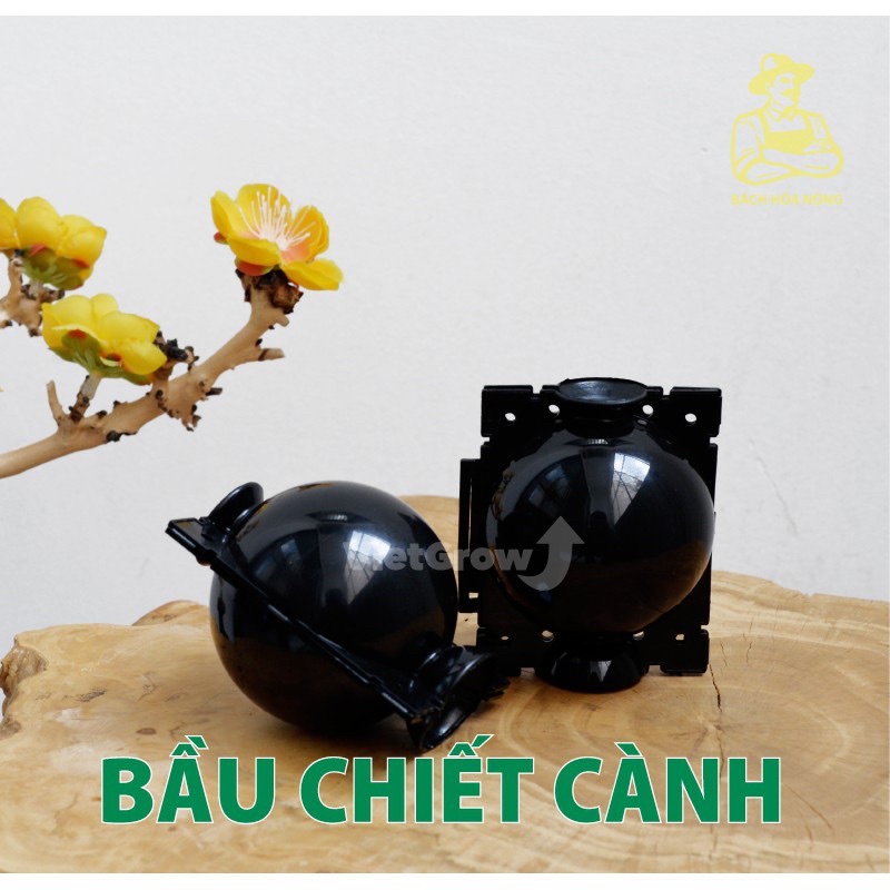 Bầu chiết cành cây tiện dụng, đủ size chính hãng