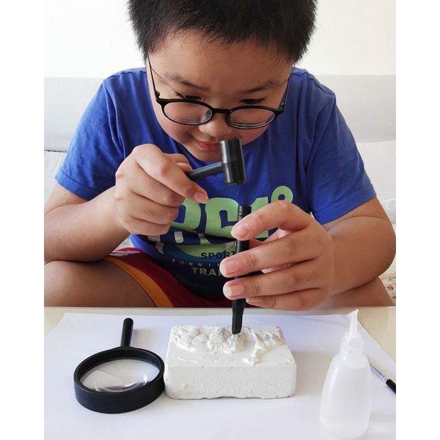 Đồ Chơi Mô Phỏng Khủng Long Hóa Thạch, Khai Quật Mô Hình Động Vật Đủ Bộ Dụng Cụ, WinRio.Store
