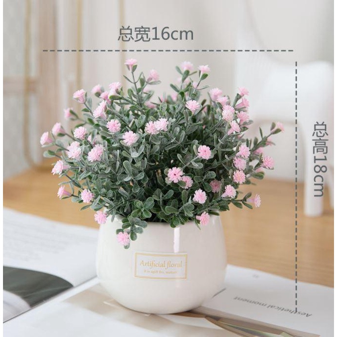 Chậu Hoa Để Bàn Baby Gypsophila  - Qùa Tặng Ý Nghĩa