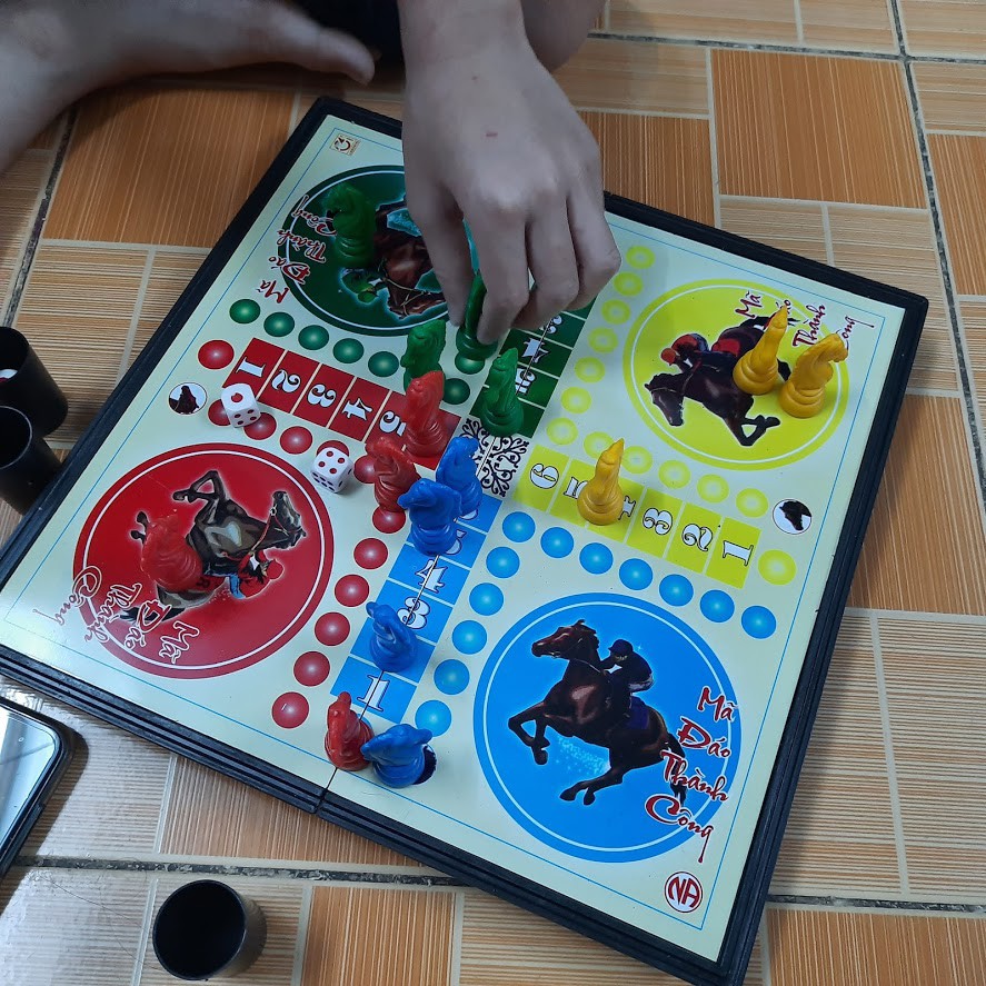 Bộ đồ chơi cờ cá ngựa nam châm 20cm đồ chơi trẻ em