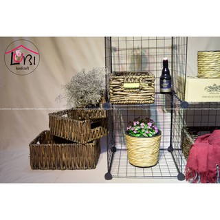Litishop - Chậu trồng cây lục bình đẹp
