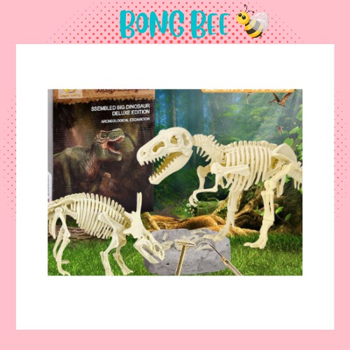 Bộ đồ chơi khảo cổ học - Sưu tầm hóa thạch khủng long khám phá thế giới khủng long