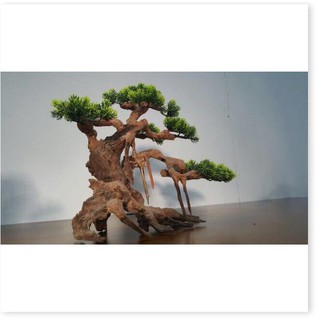 Lũa Bonsai Lá Nhựa - Trang Trí Bể Cá - lũa trang trí  - [ Xưởng Thủy Sinh TS Online37 ]