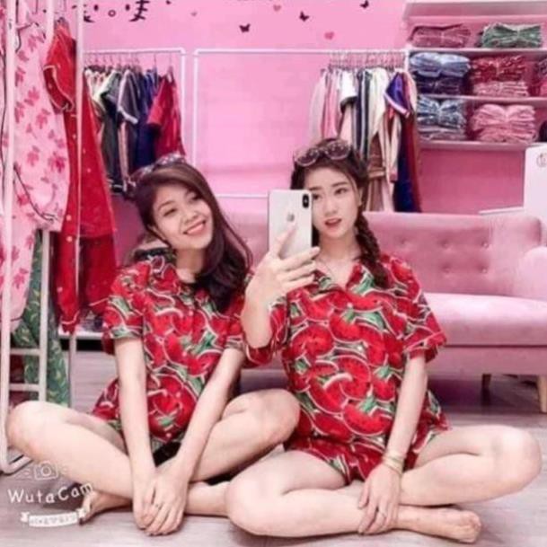 [ Khuyễn Mãi ]  Bộ pizama kate hoa quả - Áo Đi Biển  - Quần áo hoa quả | BigBuy360 - bigbuy360.vn
