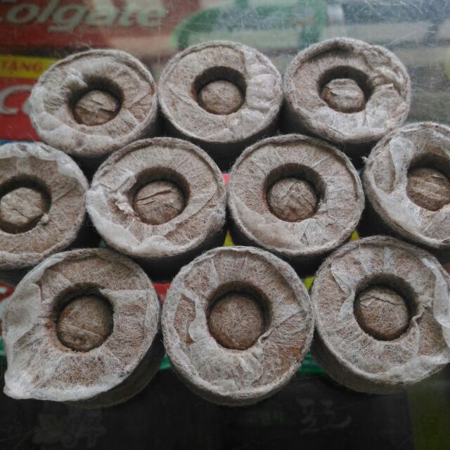 10 viên nén ươm hạt