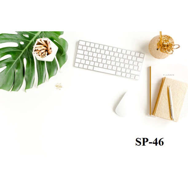Phông Nền Chụp Ảnh Sản Phẩm Quần Áo Phụ Kiện Thời Trang Bikini 5D Cao Cấp
