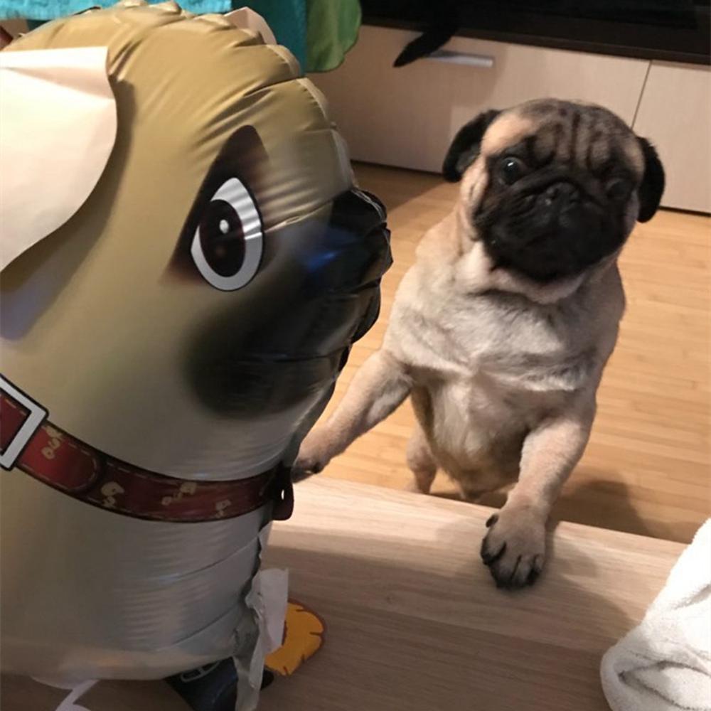 Bong Bóng Bơm Hơi Hình Động Vật Dễ Thương Trang Trí Tiệc Sinh Nhật Cho Bé