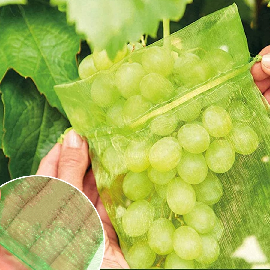 100 Túi Lưới Bảo Vệ Trái Cây
