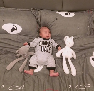 Tri ân khách hàng mẫu cottonpoly đẹp nhất