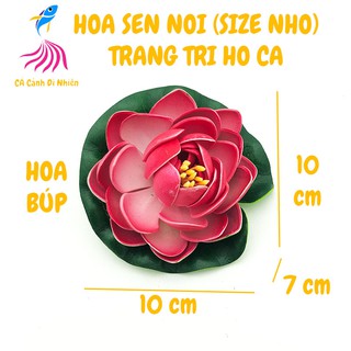 Hoa sen thả nổi mặt nước Size NHỎ BÔNG BÚP trang trí hồ cá cảnh