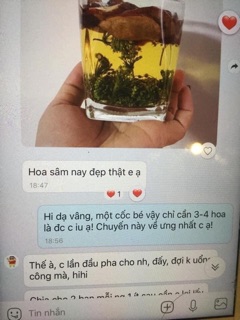 HOA SÂM HÀN QUỐC