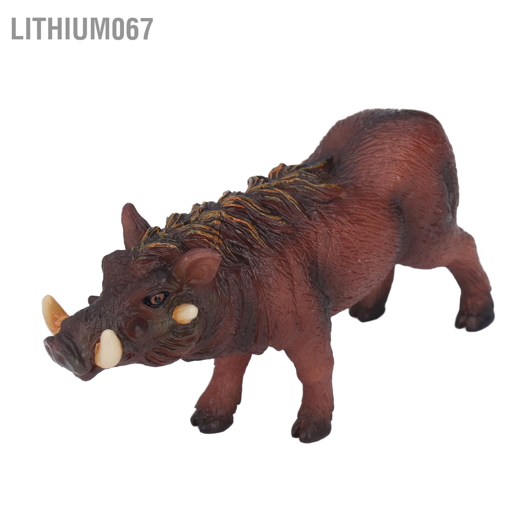 Lithium067 Bức tượng nhỏ Lợn Hoang Ngoại hình giống thật Trẻ em Giáo dục Kích thích Trí tưởng Đồ chơi rừng cho trẻ