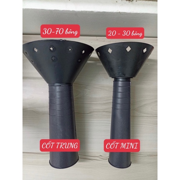 combo 100 cốt