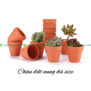 Chậu đất nung, chậu trồng sen đá, chậu trồng xương rồng, chậu trồng cây, đủ size