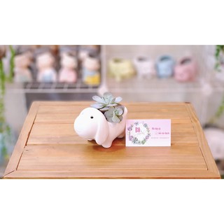 Chậu sứ trồng cây hình thú