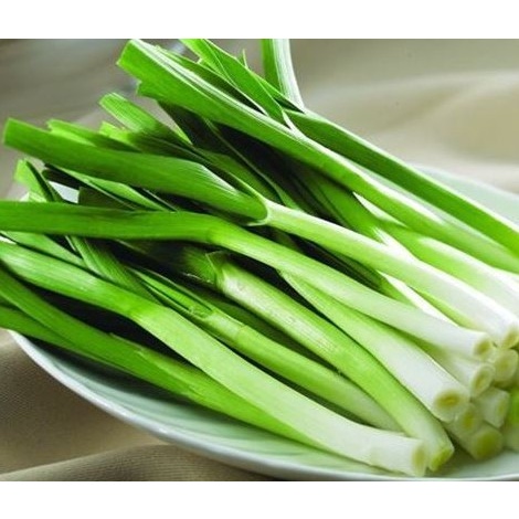 HÀNH BARO