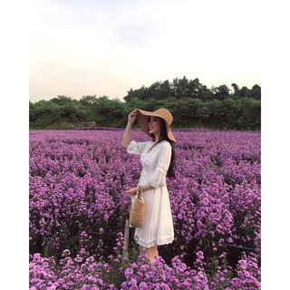Váy công chúa hàng đẹp