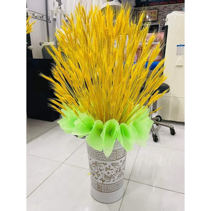 Bông Lúa Mạch Trang Trí